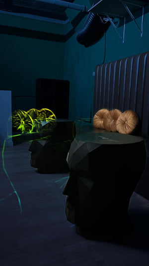 Social Club Contacto Rápido | Madrid - Moncloa