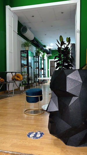 Social Club Contacto Rápido | Madrid - Moncloa