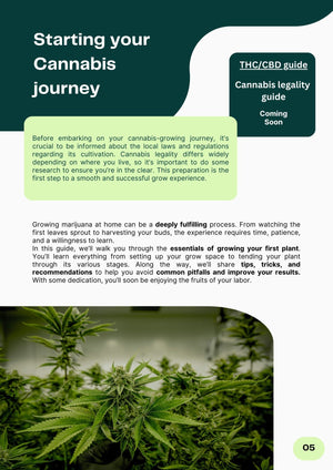 Come Coltivare Cannabis | Cannabis Grow Guide