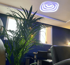 Social Club Fast-Track-Kontakt | Barcelona - Strand