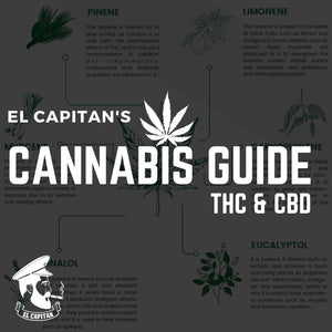 THC und CBD | Cannabis-Leitfaden