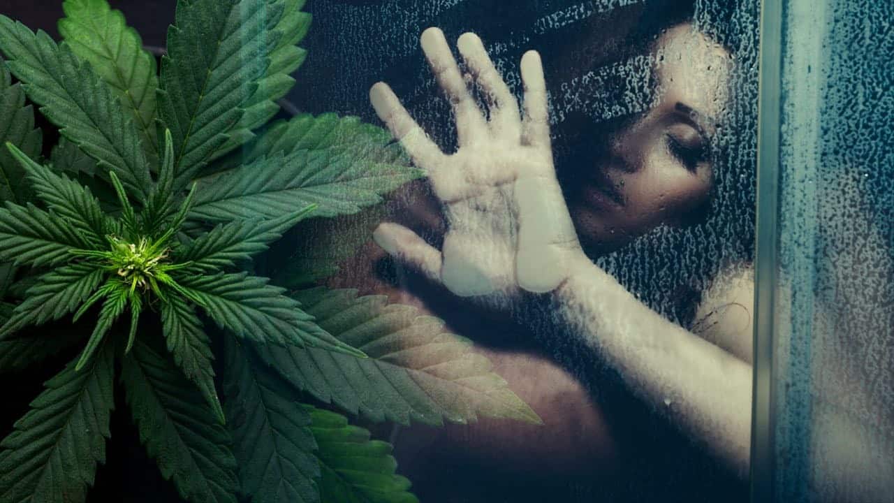 Cannabis AND SEX: A RELATIONSHIP THAT GIVES A LOT TO TALK ABOUT