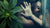 Cannabis AND SEX: A RELATIONSHIP THAT GIVES A LOT TO TALK ABOUT