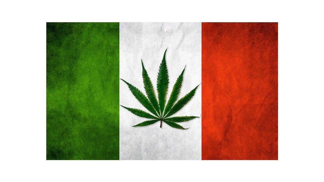 El Capitan enters collaboration with WikiWeed Italia to help create awareness of the positive effects of Cannabis in Italy - El Capitan | Smoking Accessories