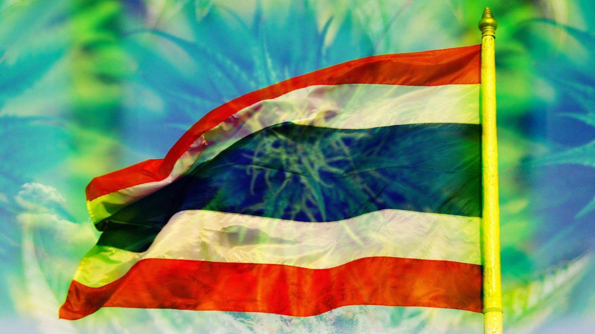 The renaissance of Cannabis in Thailand - El Capitan | Smoking Accessories