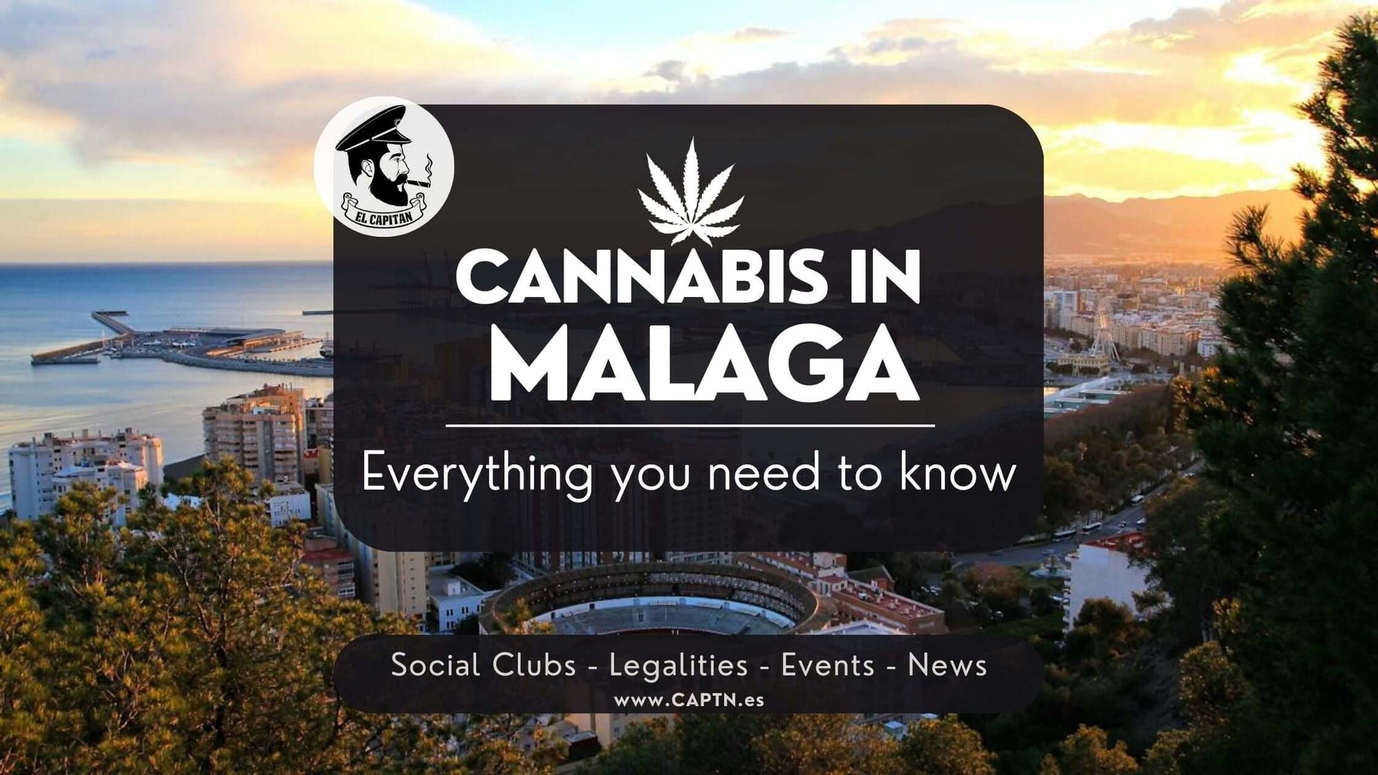 el capitan showing the way to a cannabis social club in malaga for weed