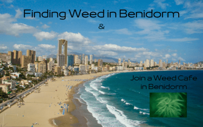 Weed in Benidorm | Join a Social Club in Benidorm