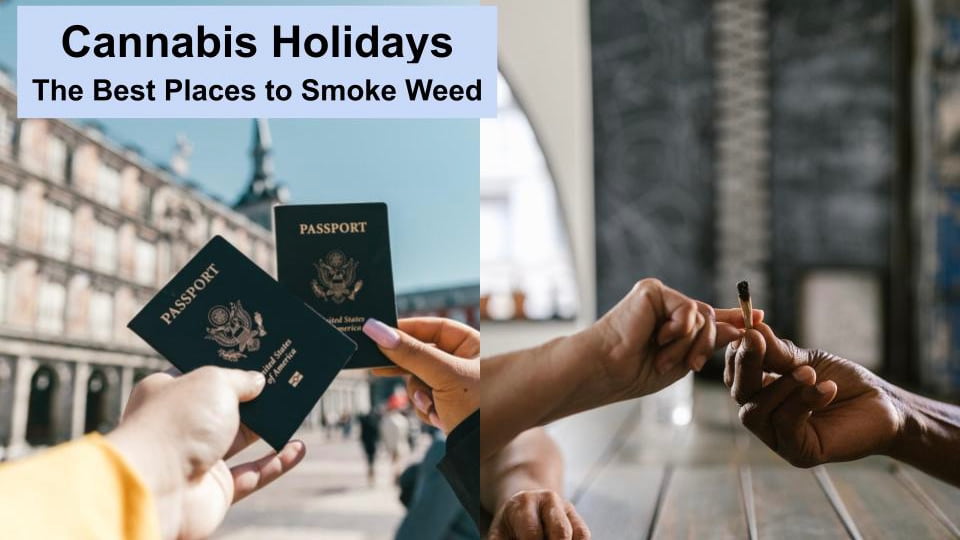 The Best Countries to Visit If You Love Smoking Weed