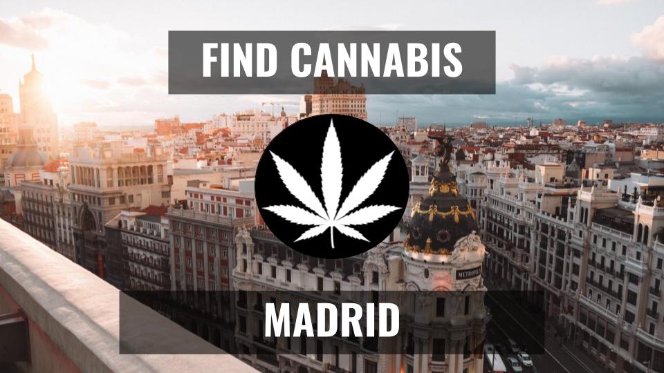 Buy Weed in Madrid | Join Cannabis Social Club Madrid