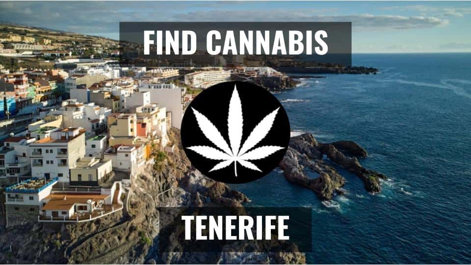 Find Cannabis in Tenerife | Join Cannabis Club Tenerife