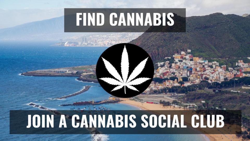 Find Cannabis in Tenerife | Join a Cannabis Social Club