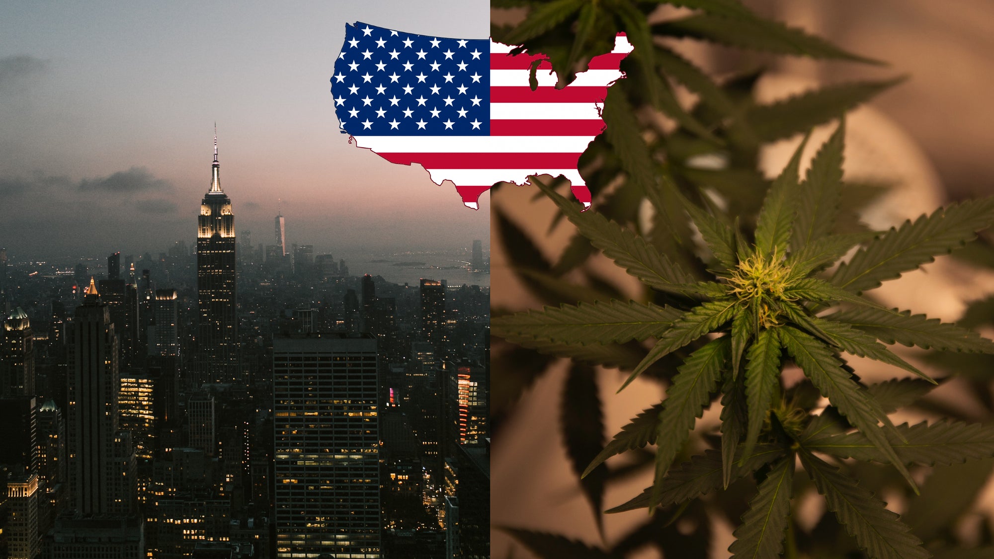 New York to legalize Marijuana