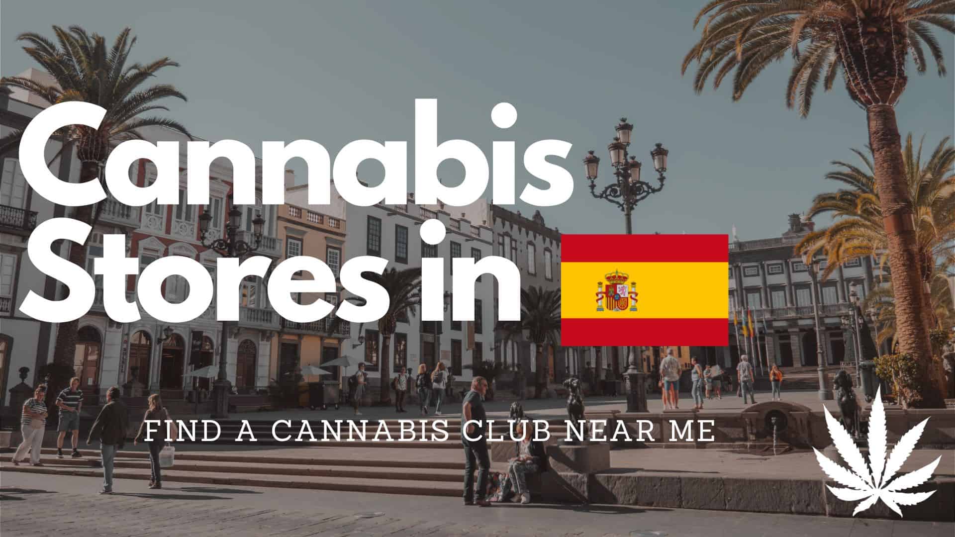 cannabis store in spain el capitan blog article