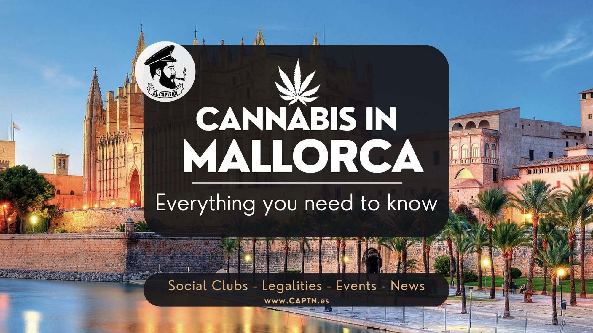 Picture of el capitan finding weed and social clubs in palma de mallorca