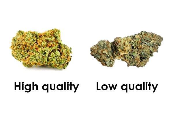 How To Check The Quality Of Weed - El Capitan | Smoking Accessories