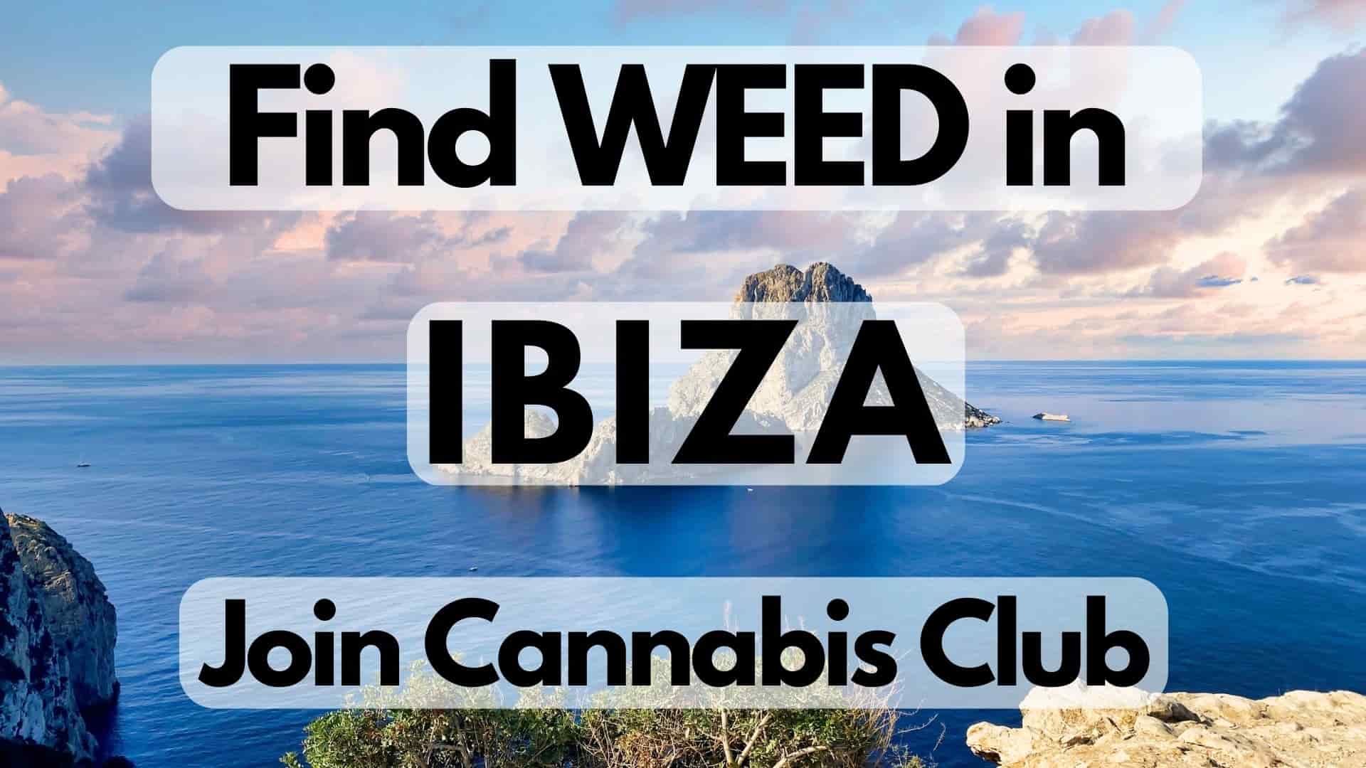 Find Weed in Ibiza / Join a Cannabis Social Club Today