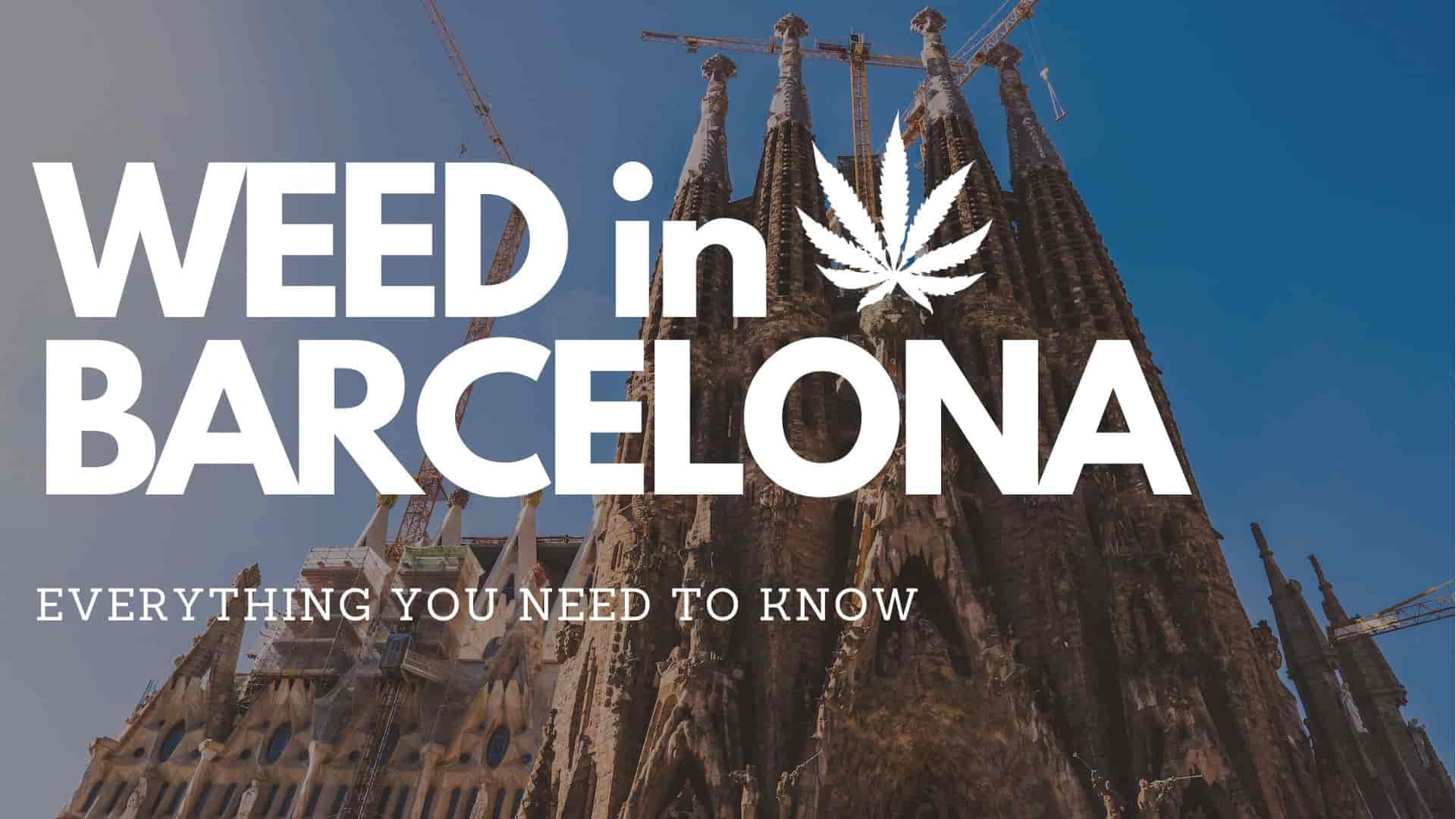 Weed in Barcelona | Everything You Need to Know in 2023