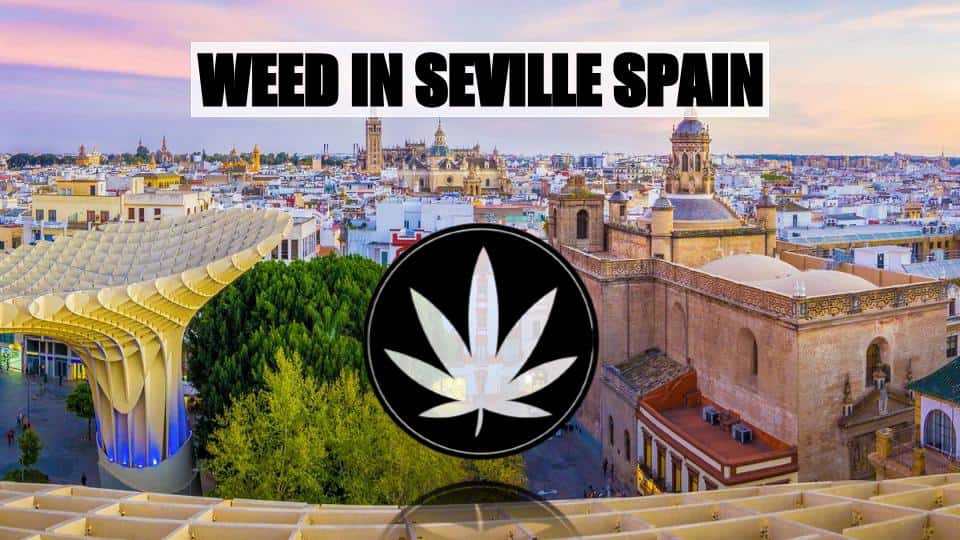 How to safely find Weed in Seville