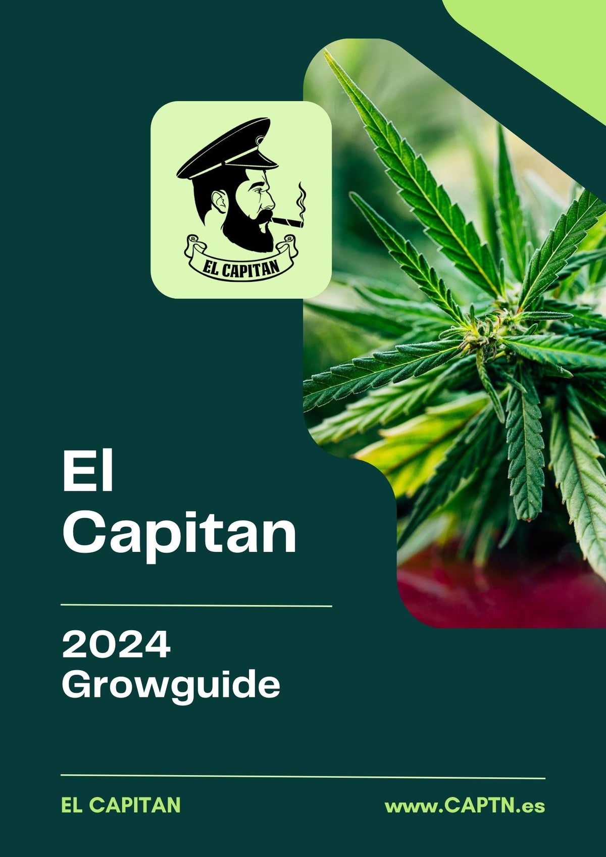 Come Coltivare Cannabis | Cannabis Grow Guide
