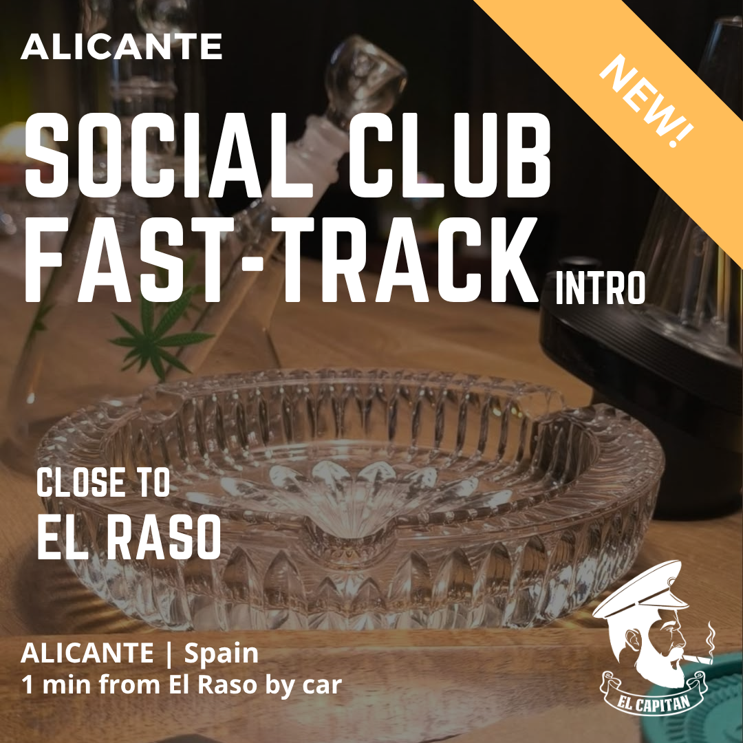 Social Club Contatto Fast-Track | Alicante - Orihuela