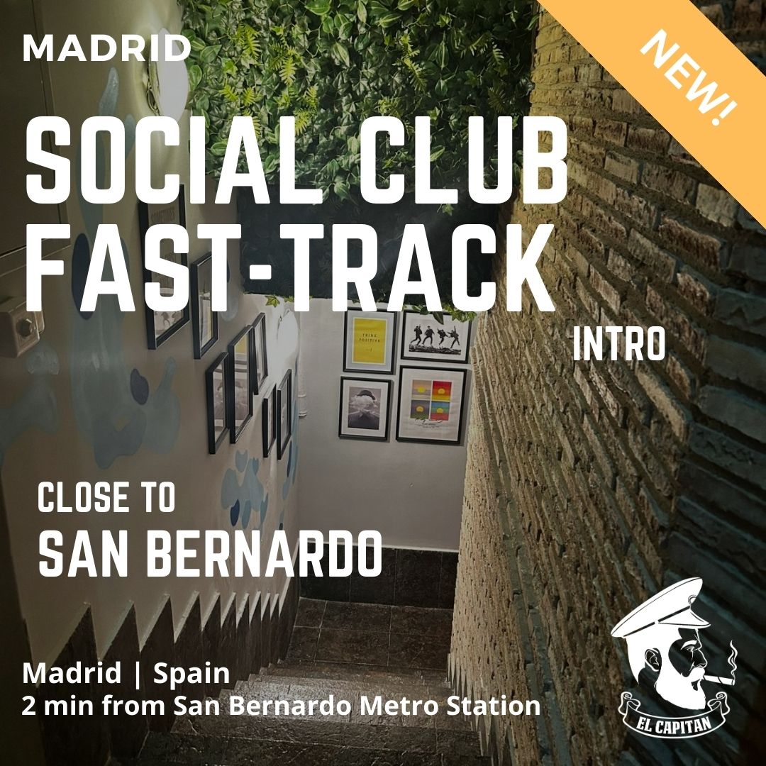 Social Club Contacto Rápido | Madrid - San Bernardo