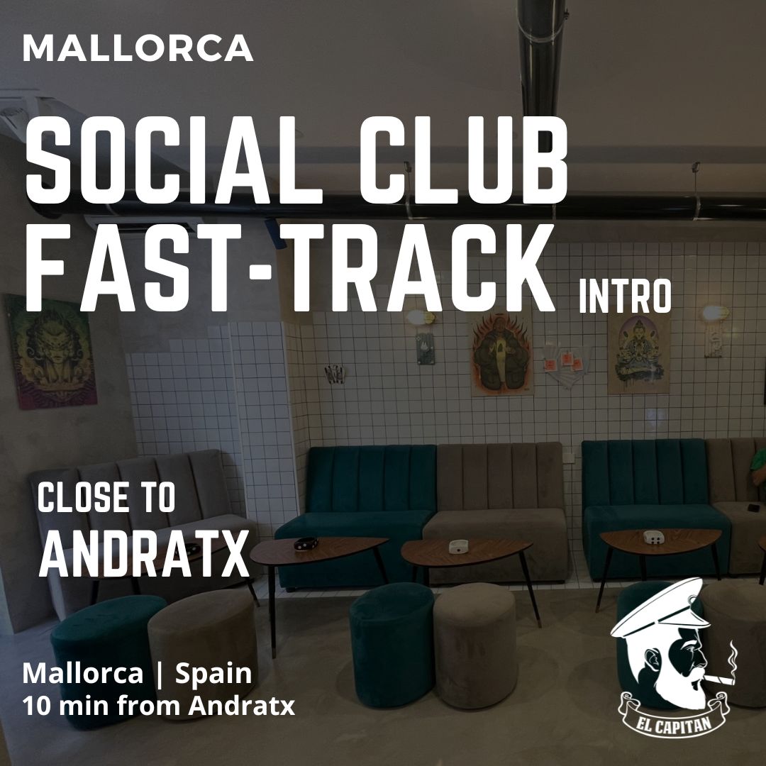 Social Club Contact rapide | Mallorca - Andratx