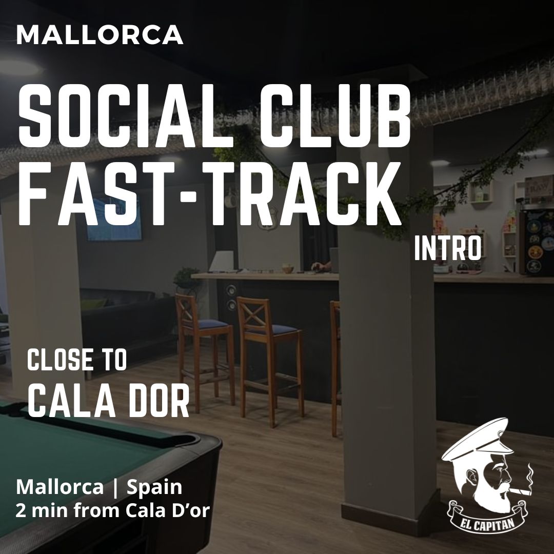 Social Club Fast-Track Contact | Mallorca - Cala D'Or