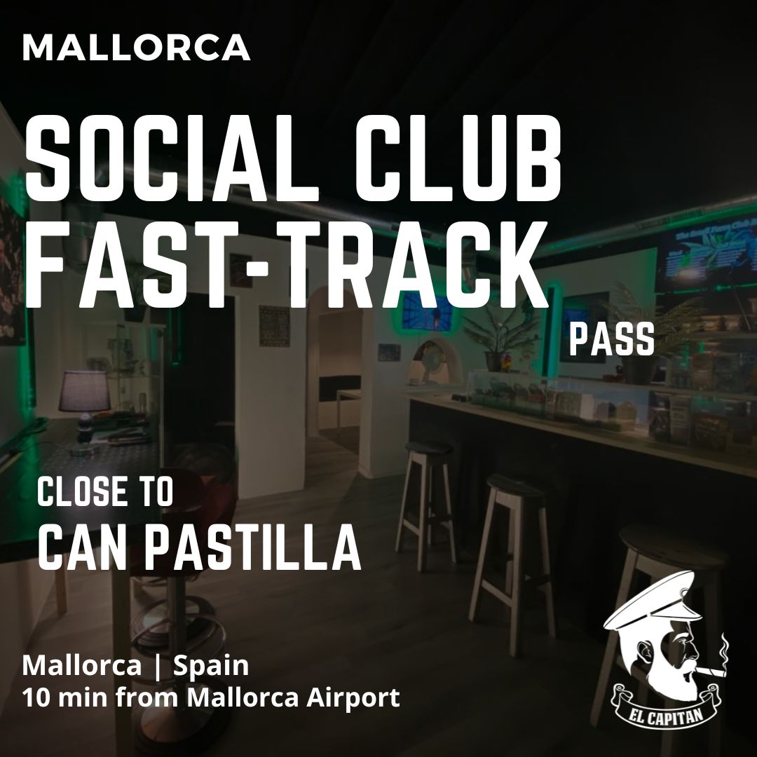 Social Club Fast-Track Intro | Mallorca - Can Pastilla