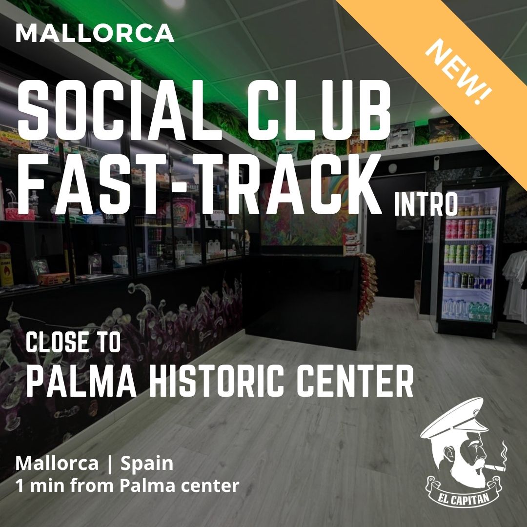 Social Club Fast-Track Contact | Mallorca - Palma Historic Center