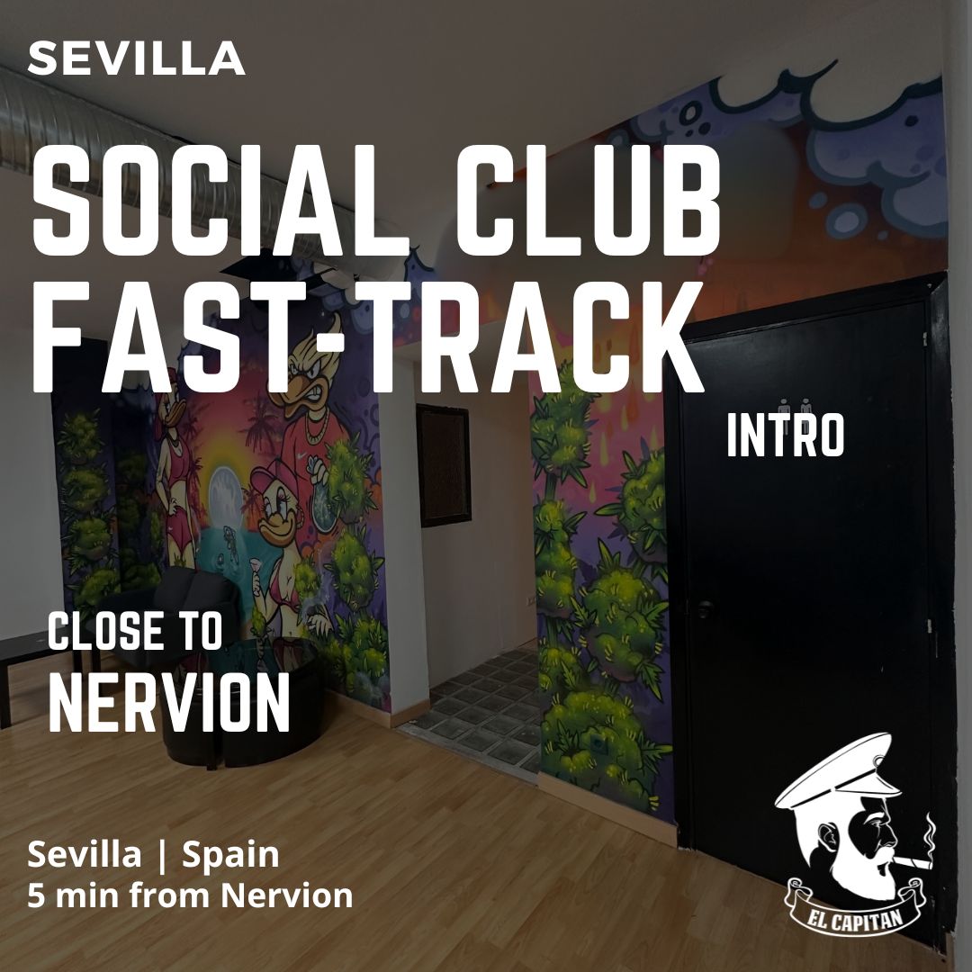 Contact accéléré Social Club | Séville - Nervión