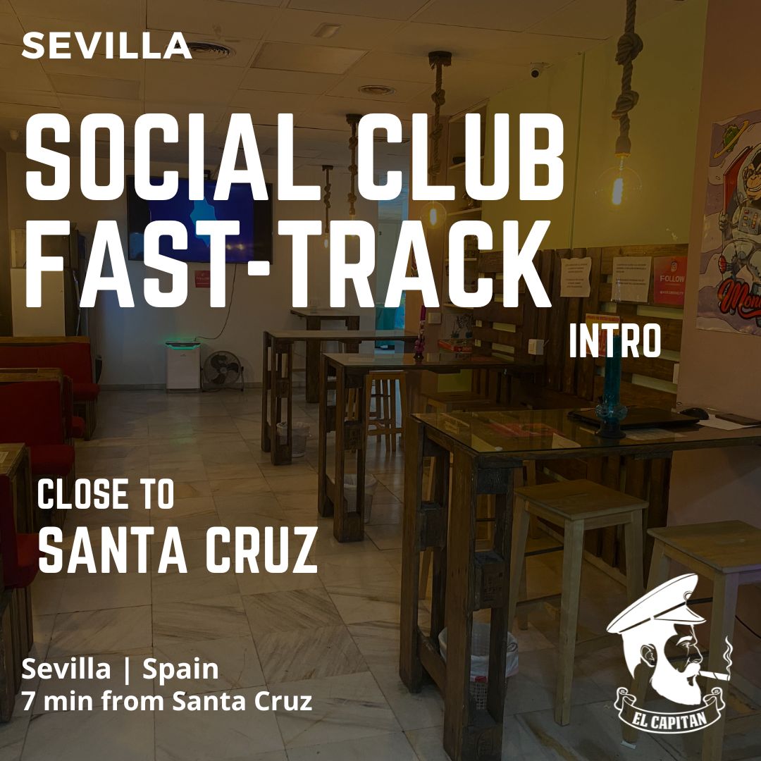 Contact accéléré Social Club | Séville - Santa Cruz