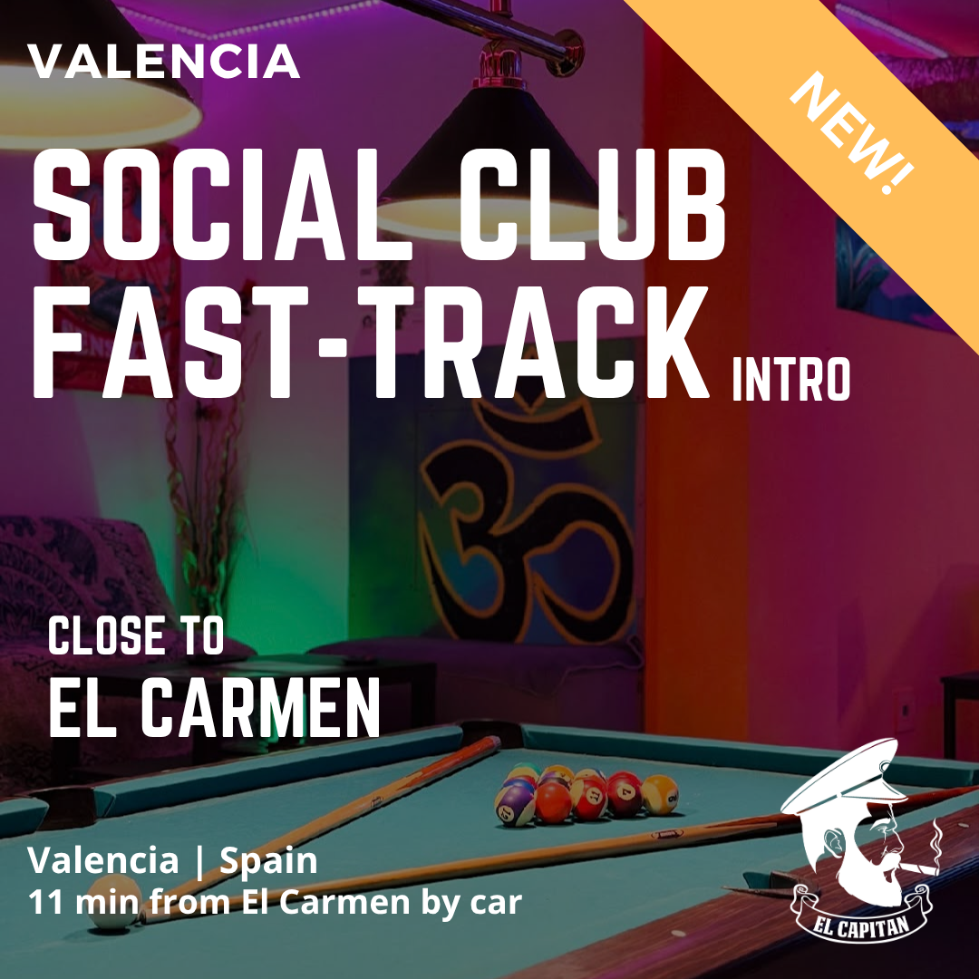 Contact accéléré Social Club | Valencia - Benimaclet