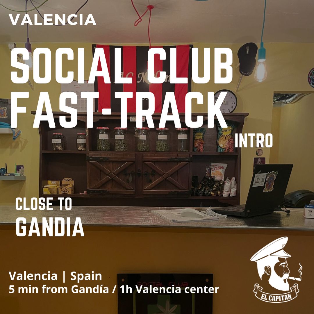 Contact accéléré Social Club | Valence - L'Olivereta