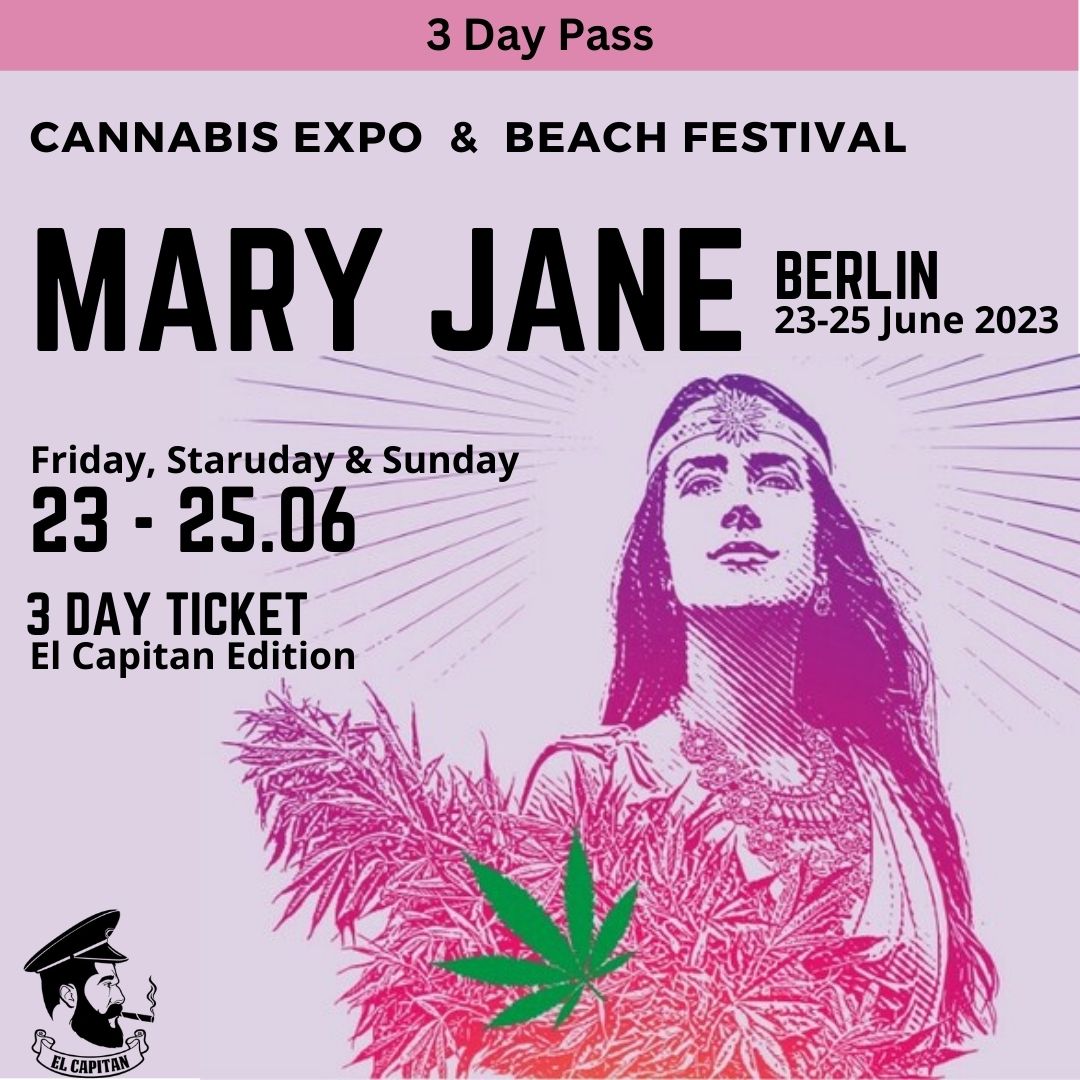 3 Day Ticket | Mary Jane Berlin