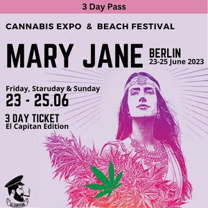 3 Day Ticket | Mary Jane Berlin