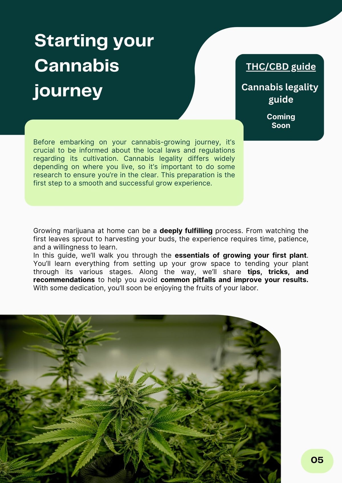 Come Coltivare Cannabis | Cannabis Grow Guide