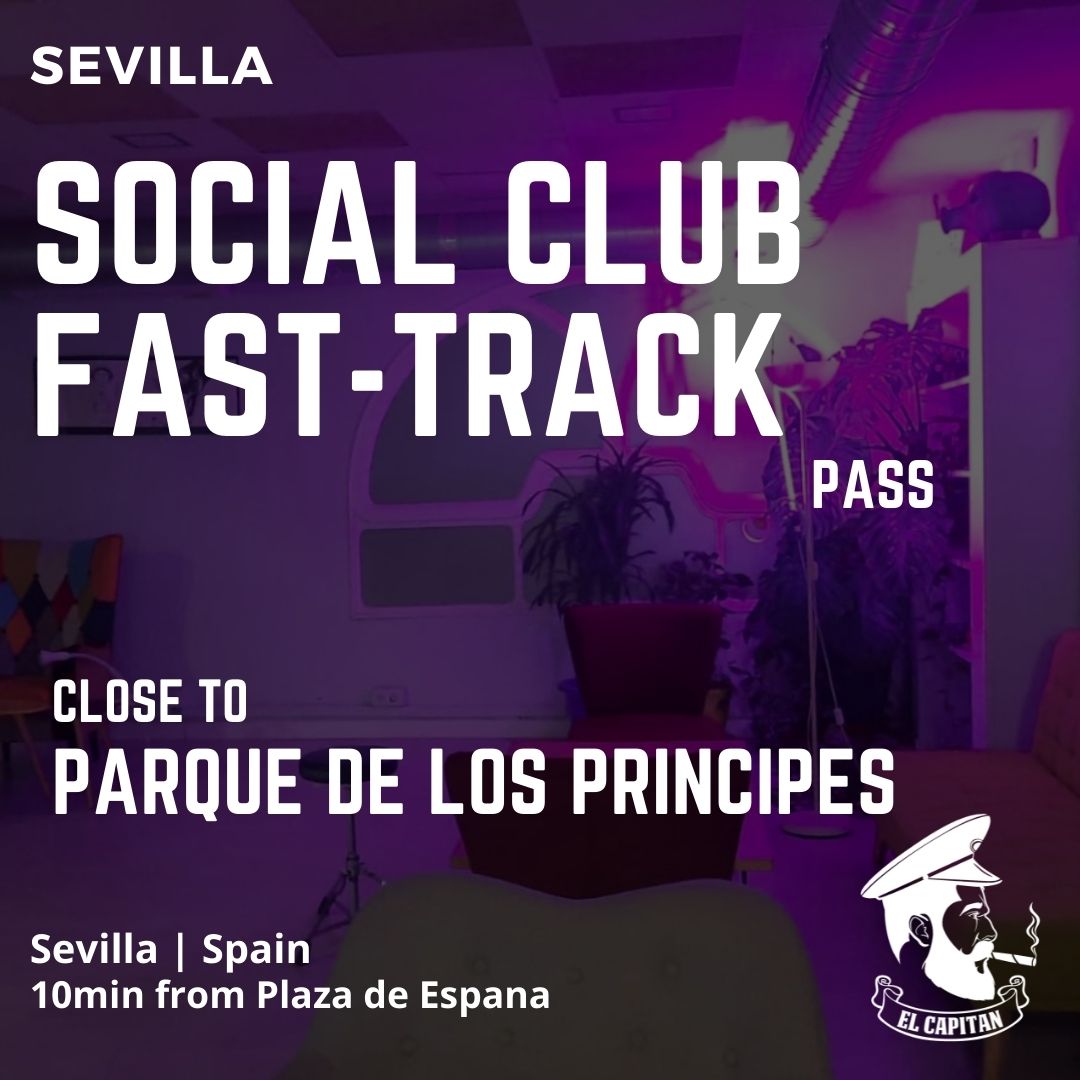 Pase de acceso rápido al Social Club | Sevilla Centro